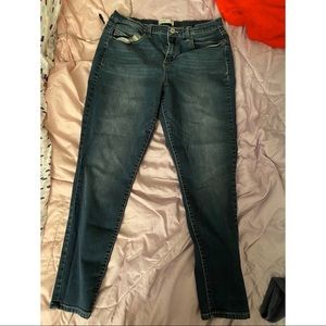 Mudd begging seize 17